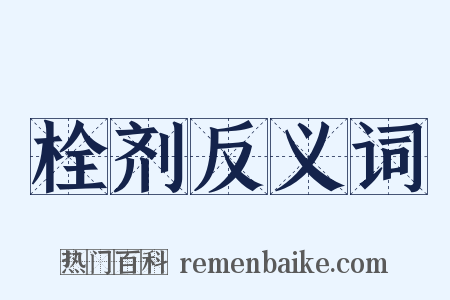 栓剂反义词是什么意思的图片